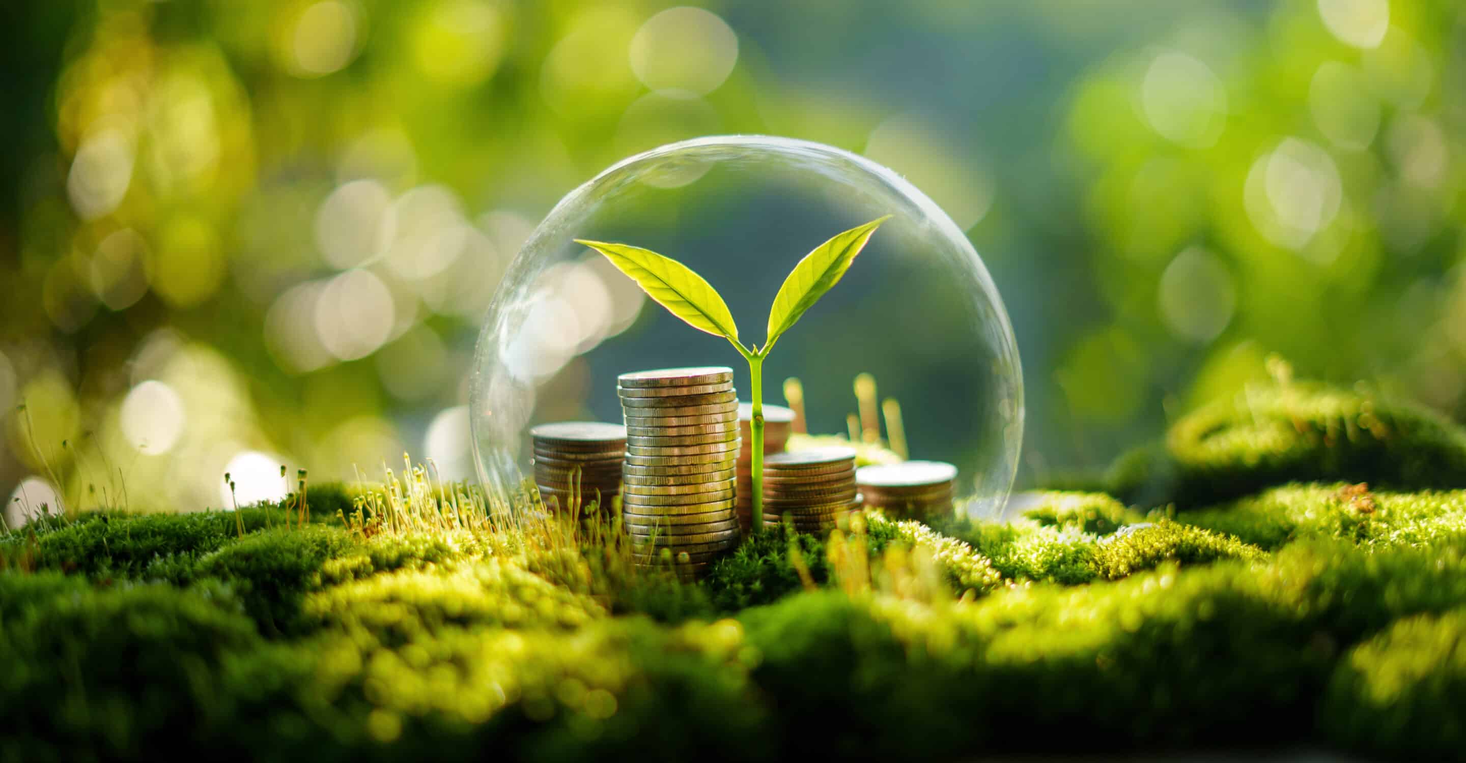 business-evolution-sustainable-growth